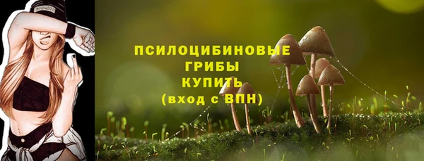 ешки Белоозёрский