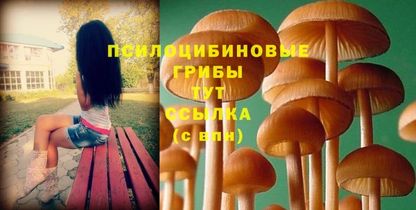 не бодяженный Богородицк