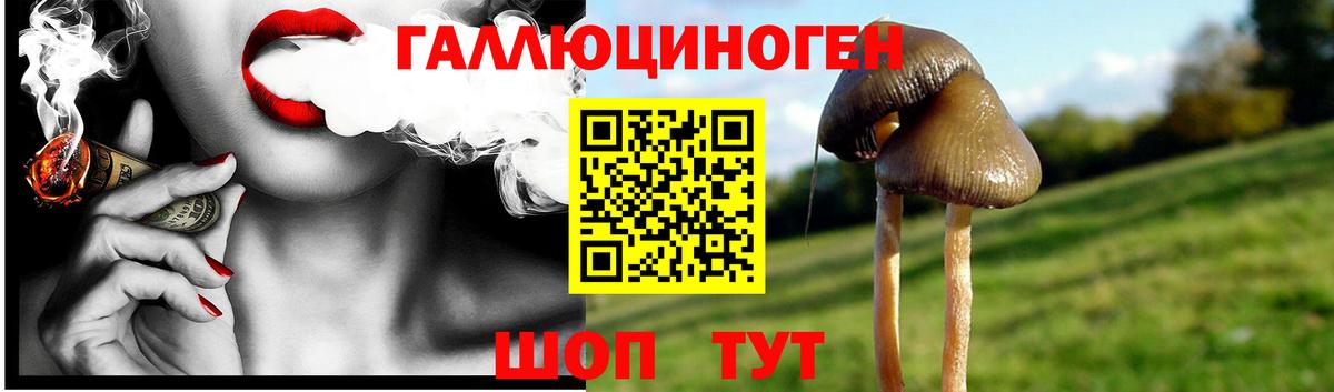 Апшеронск  Галлюциногенные грибы мухоморы  Вход с VPN  Галлюциногенные грибы GOLDEN TEACHER 